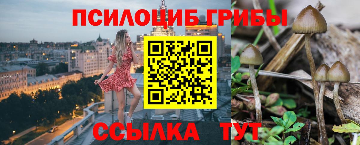 Псилоцибиновые грибы Cubensis  Галлюциногенные грибы мицелий  Анжеро-Судженск  Вход с VPN 